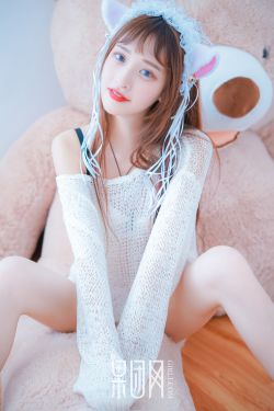 喜羊羊与灰太狼奇侠大营救