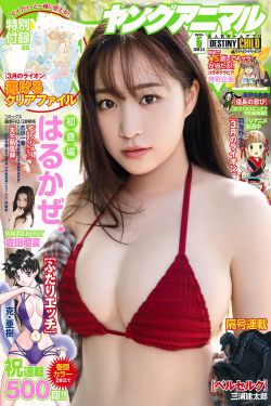 道德与法律的关系